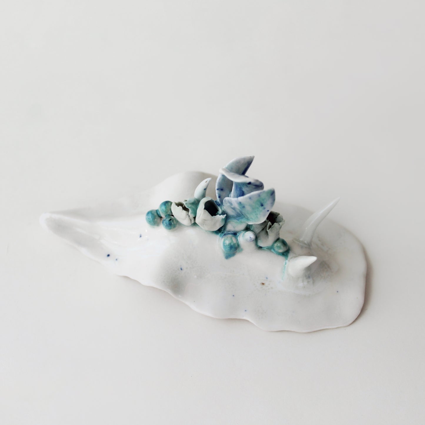 Cynthia O'Brien Limaces (Nudibranches)