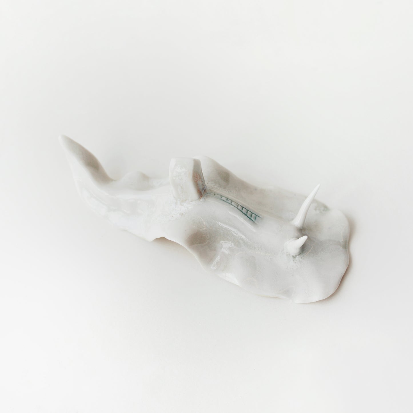 Cynthia O'Brien Limaces (Nudibranches)