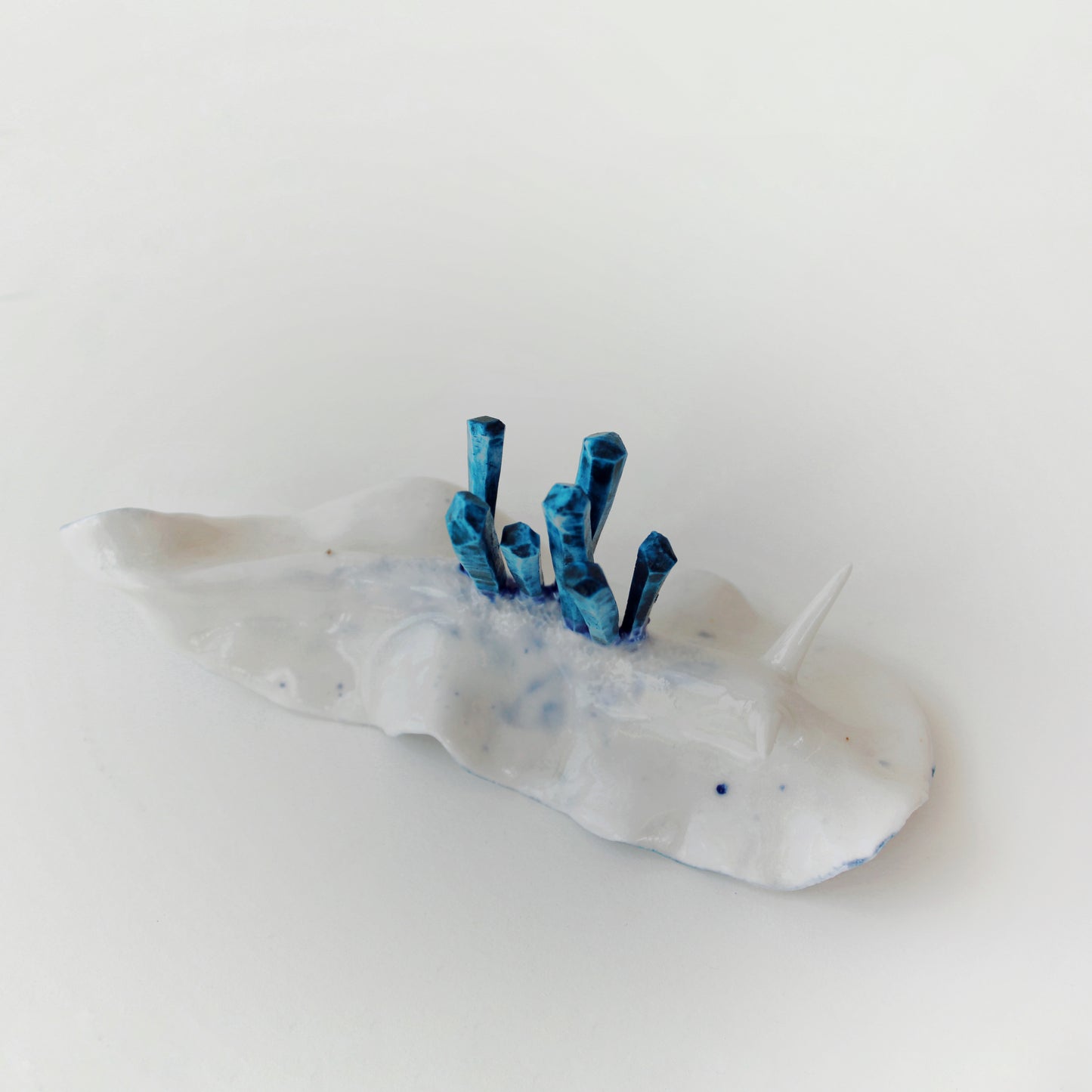 Cynthia O'Brien Limaces (Nudibranches)