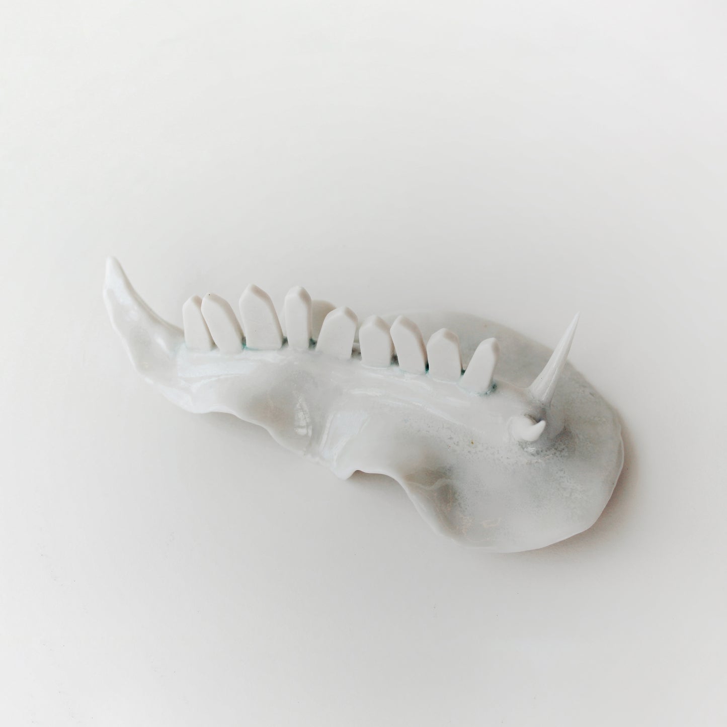 Cynthia O'Brien Limaces (Nudibranches)
