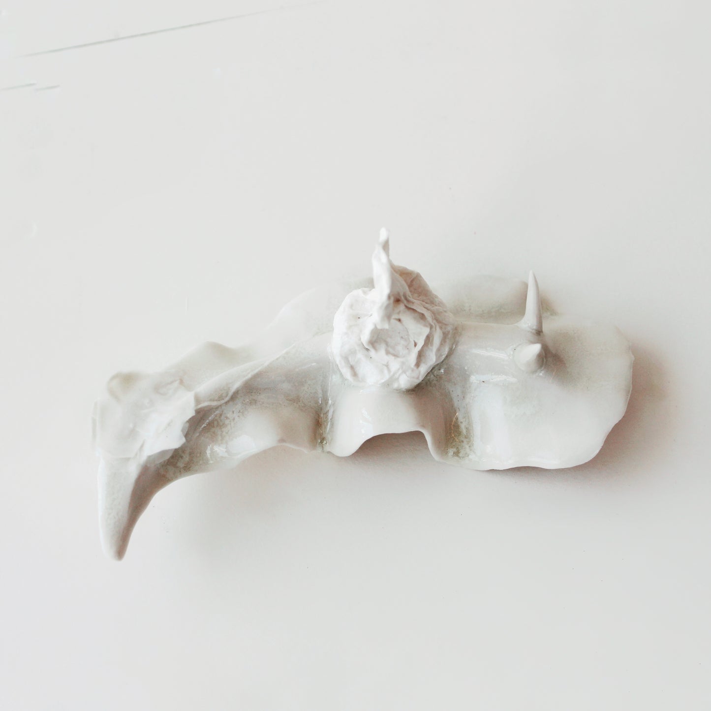 Cynthia O'Brien Limaces (Nudibranches)