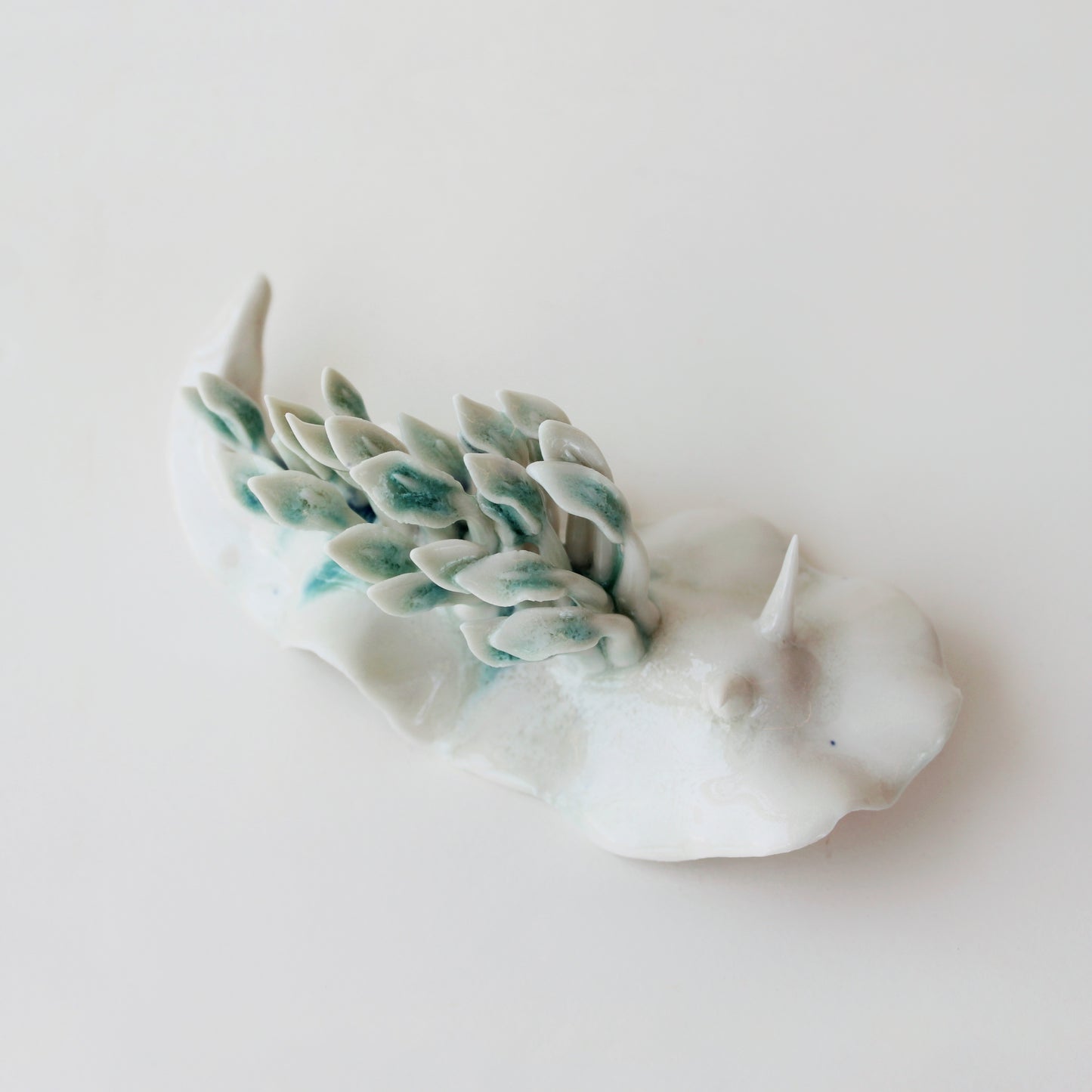 Cynthia O'Brien Limaces (Nudibranches)