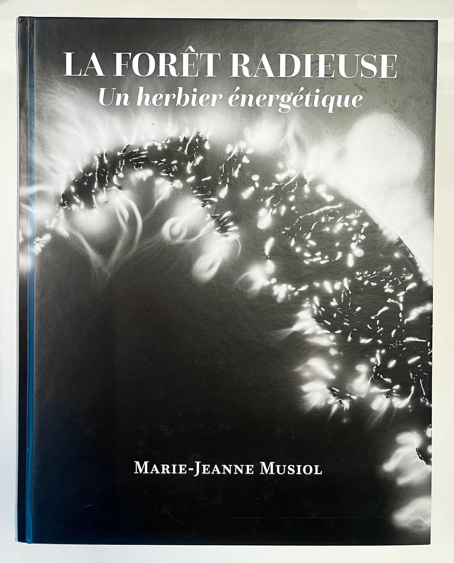 Marie-Jeanne Musiol | La forêt radieuse