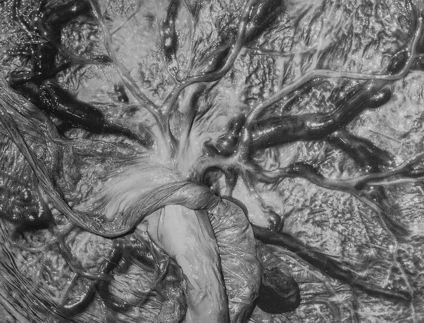 Viscera by Alexa Mazzarello