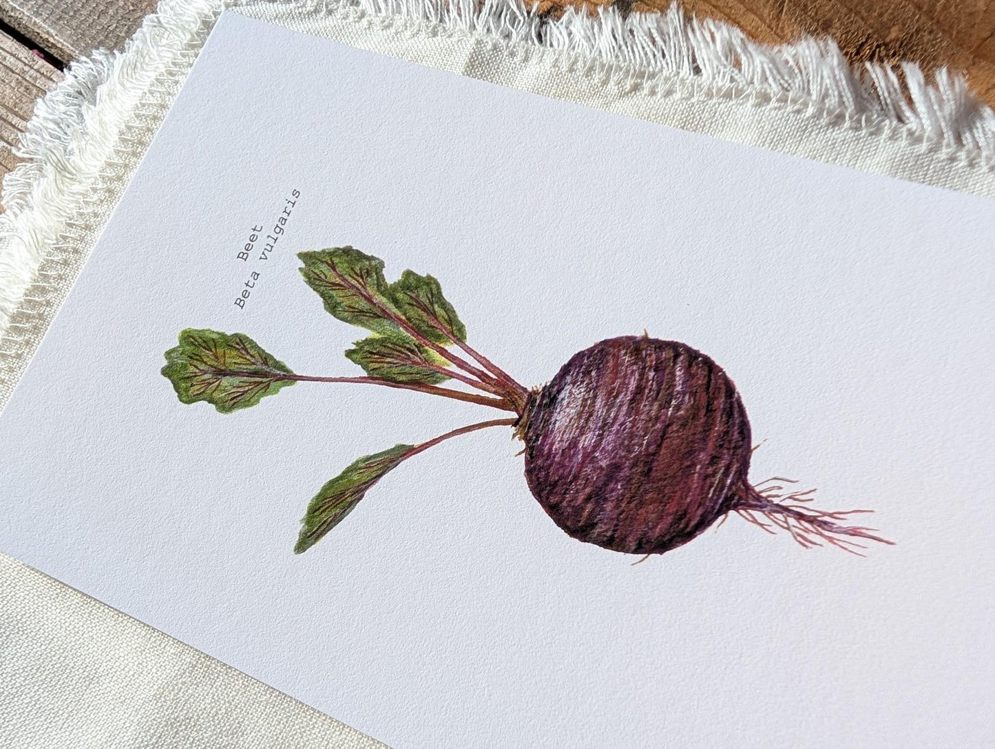 Beet Art Print