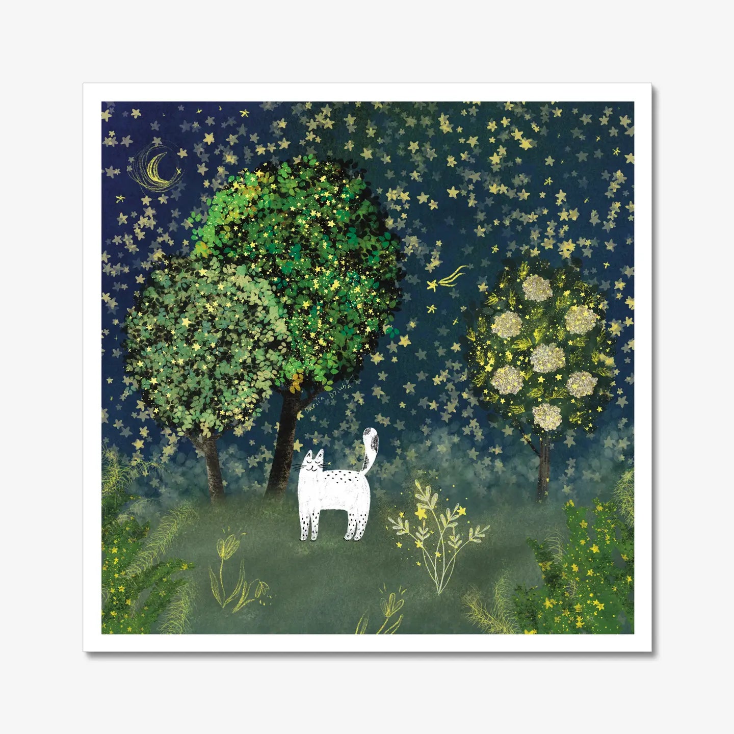 Impression d'art de chat : chat dans un jardin étoilé
