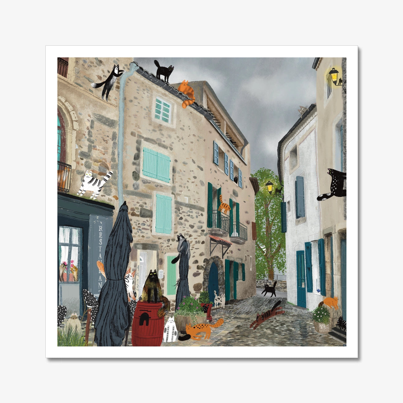 Cats After the Rain (Bize-Minervois) - Art Print