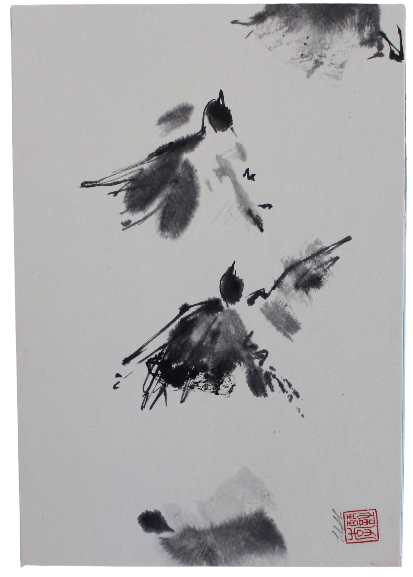 Lilith Ohan - Dessin de oiseaux