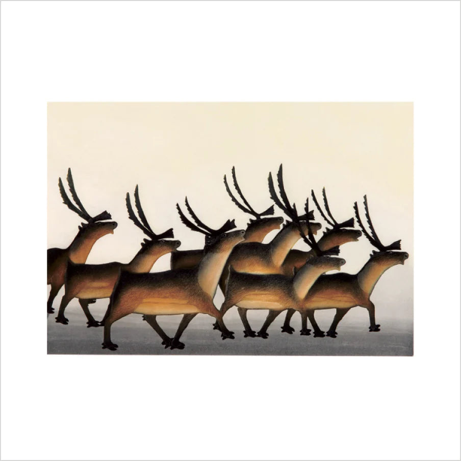 Arctic Animals from Kinngait Memory Game