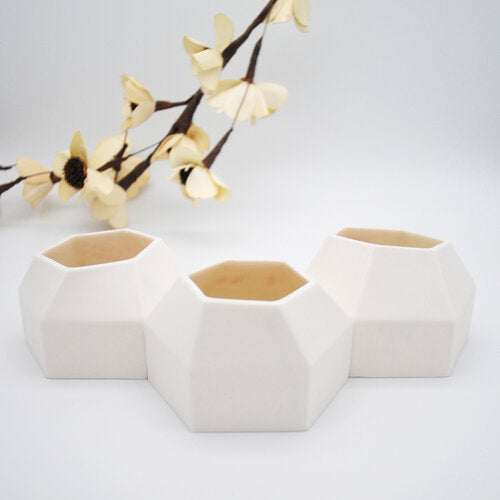 Cuir - Barnacle Tealight Holder (set of 3)