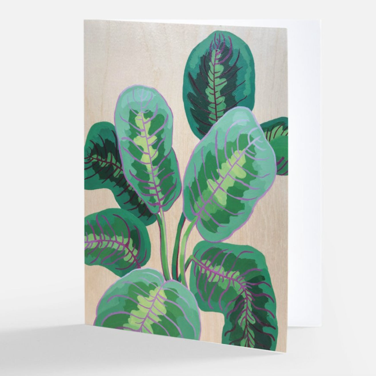 Prayer Leaf Plant Greeting Card