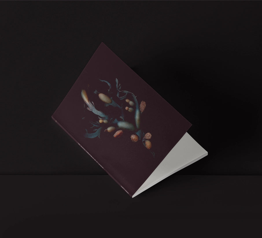 Mini-Notebook / Rockweed