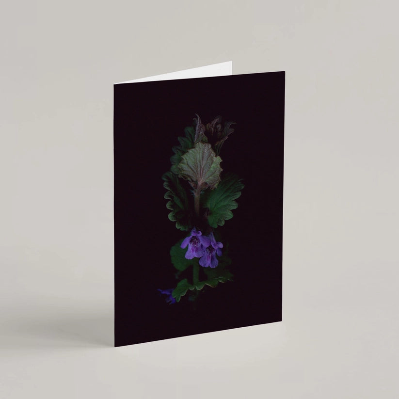 Greeting Card / Ground Ivy