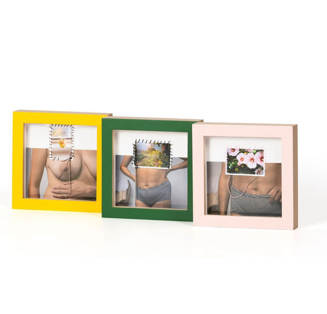 Failure to Progress Collage Trio by Alexa Mazzarello