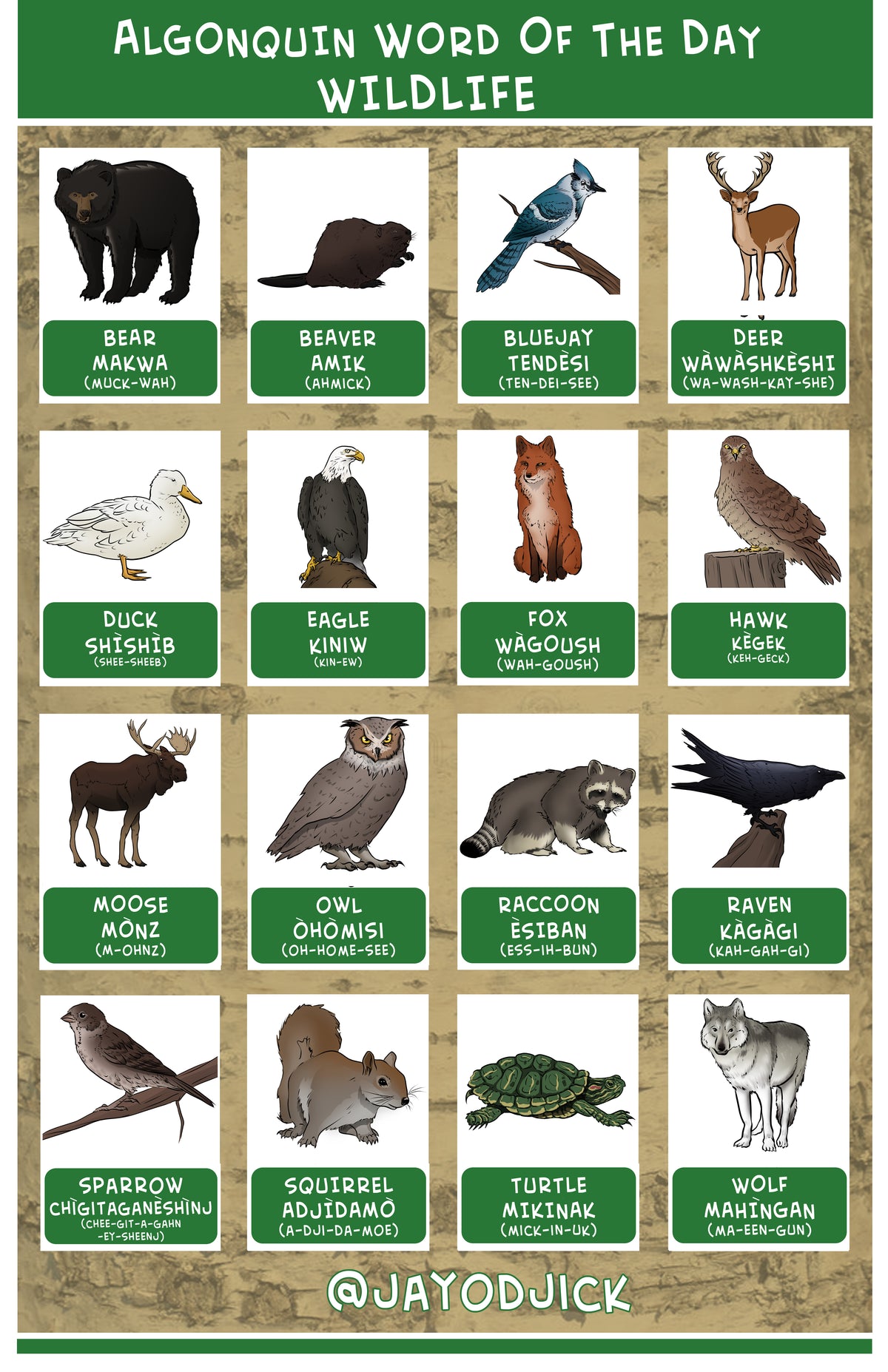 Algonquin Word of the Day - Wildlife