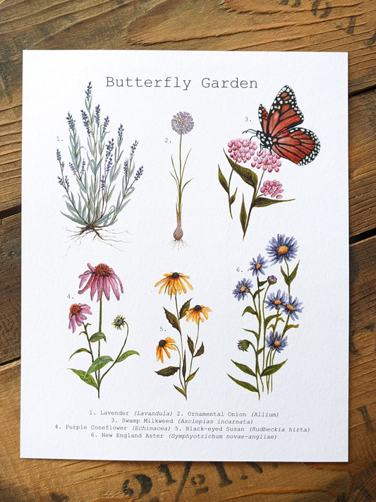 Butterfly Garden Art Print