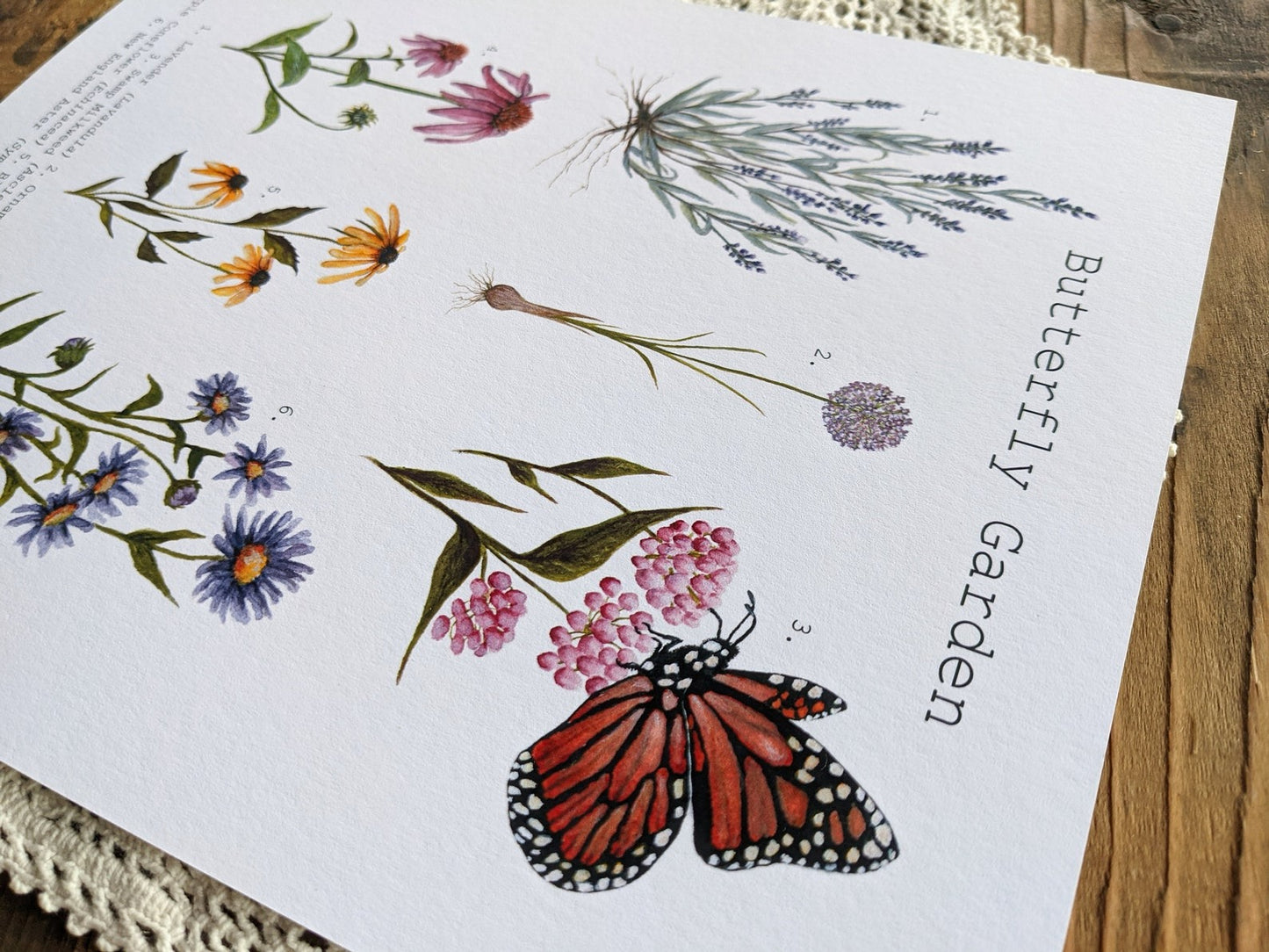 Illustration, butterfly garden