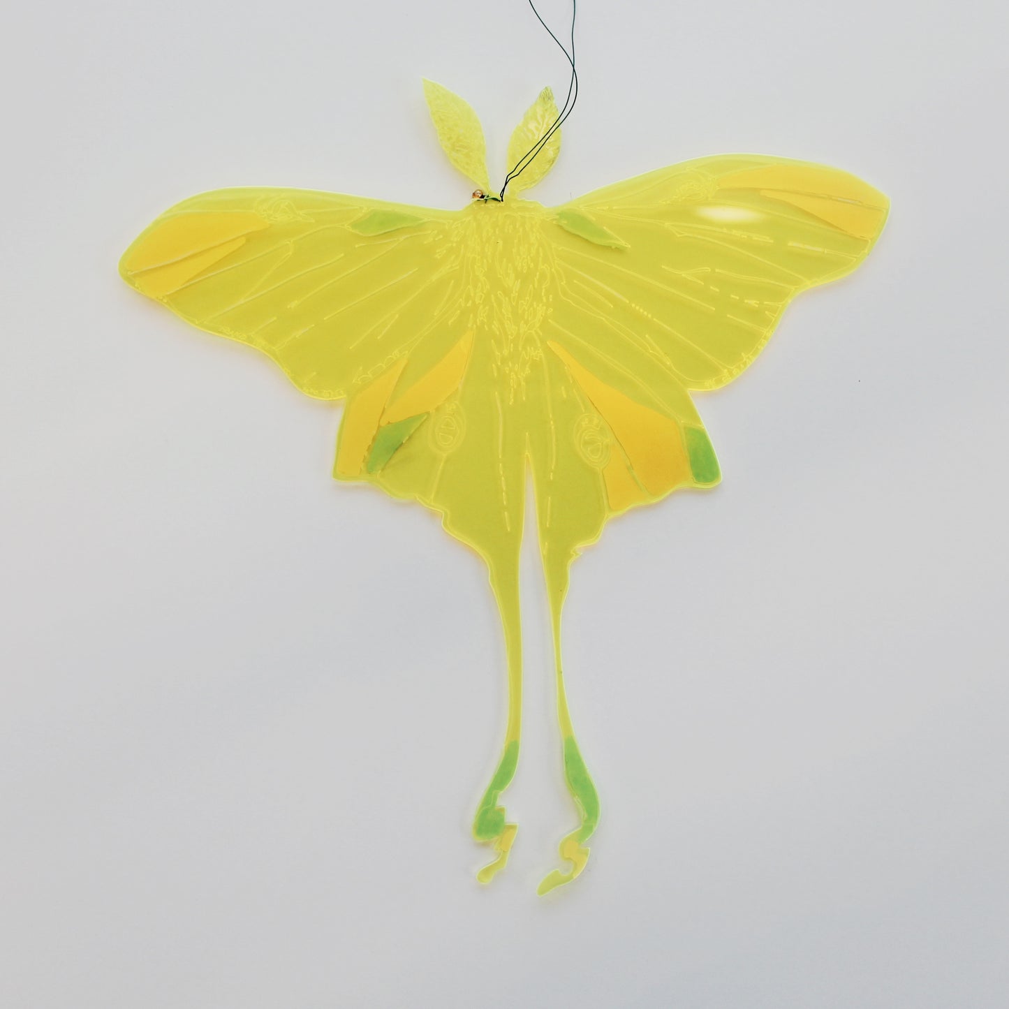 Jennifer Macklem | Trajectoires de vol 