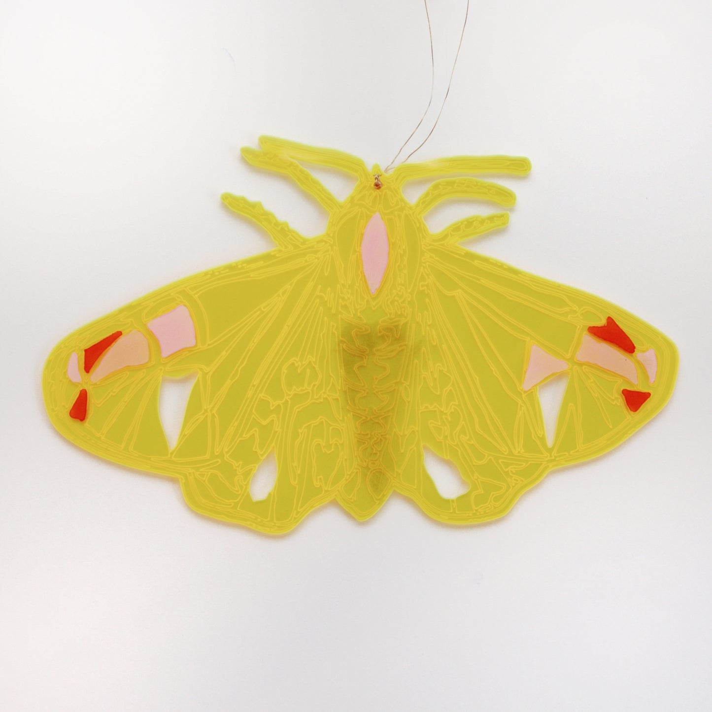 Jennifer Macklem | Trajectoires de vol 