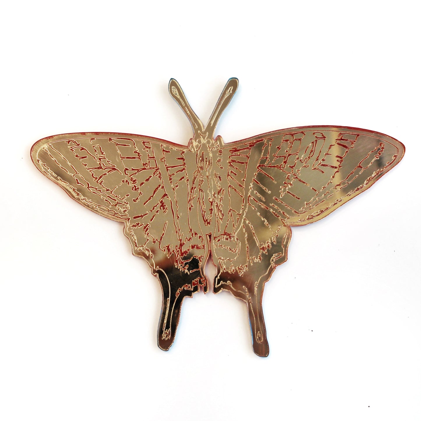 Jennifer Macklem | Flightpath Magnets