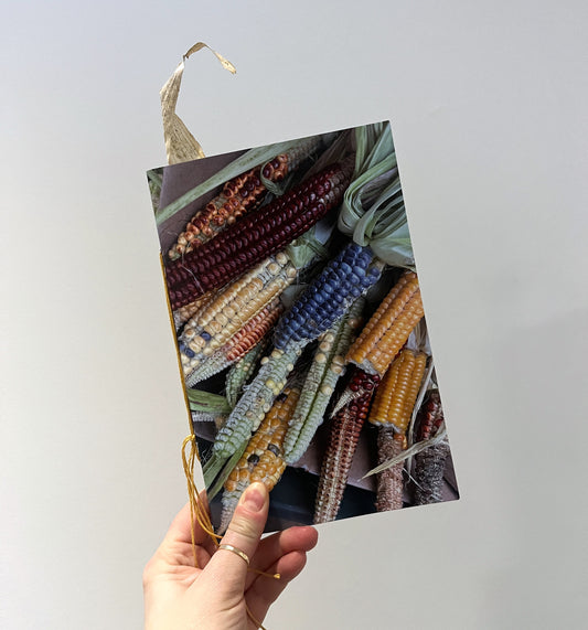 Becoming Maize: A Restoryation Project