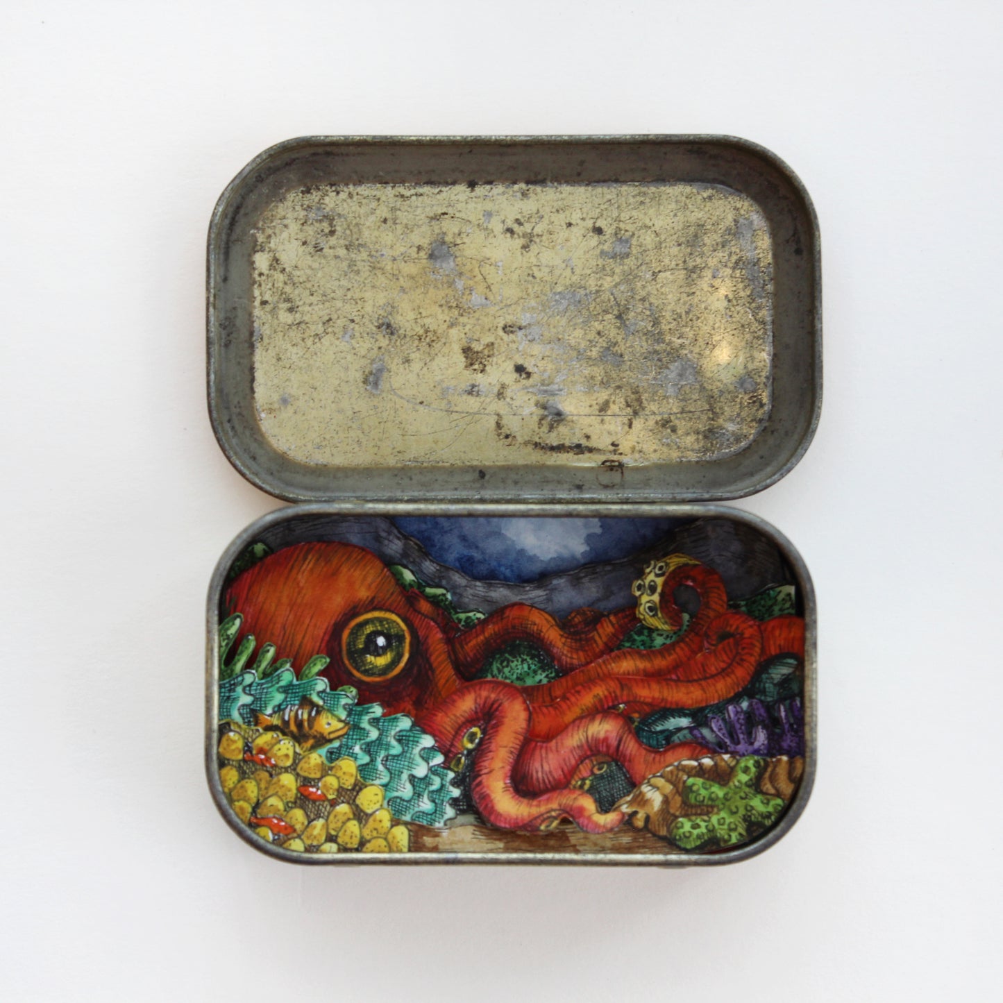 "Erin More Octopus" tin with lid