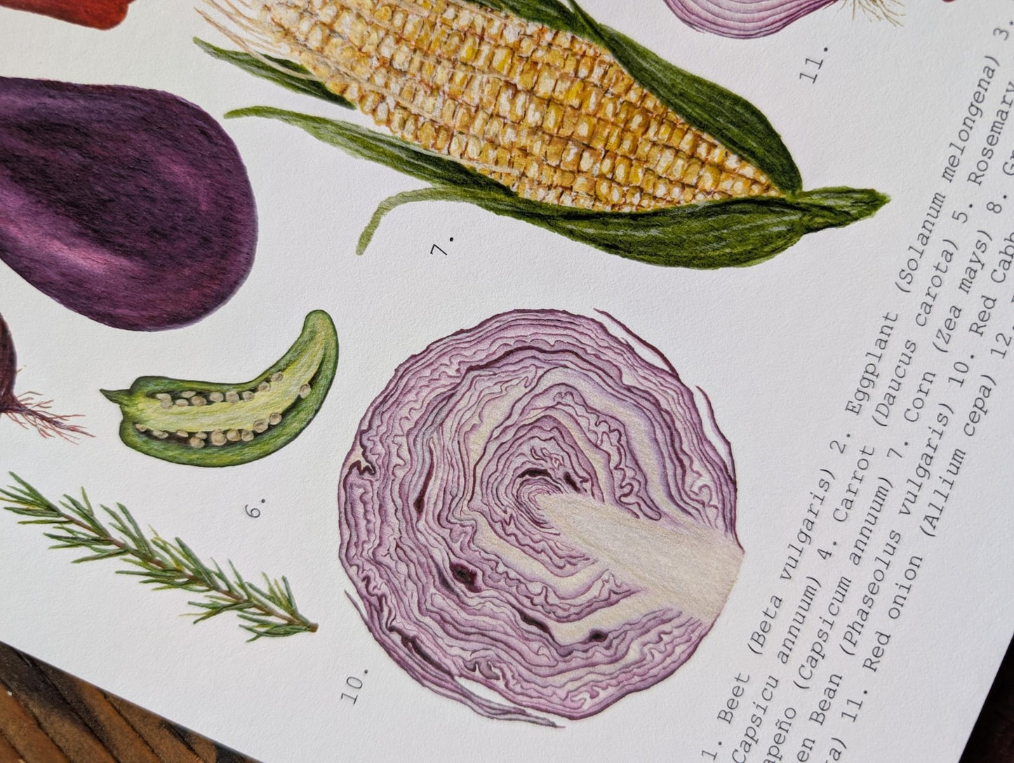 Vegetable Harvest Art Print