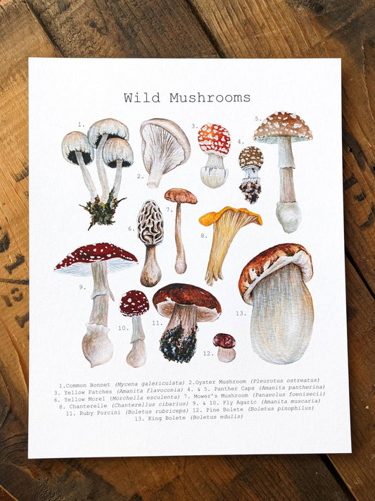 Wild Mushrooms Art Print