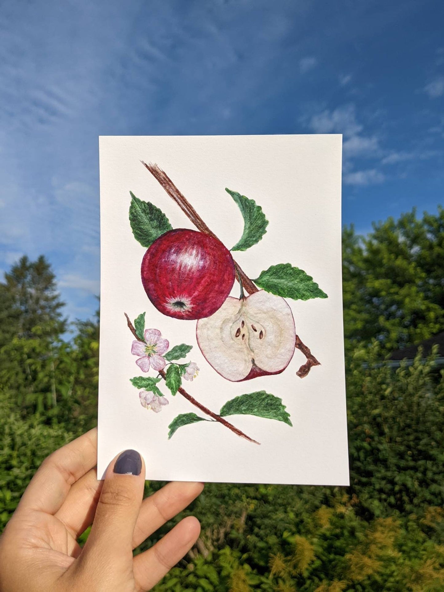 Apple Art Print