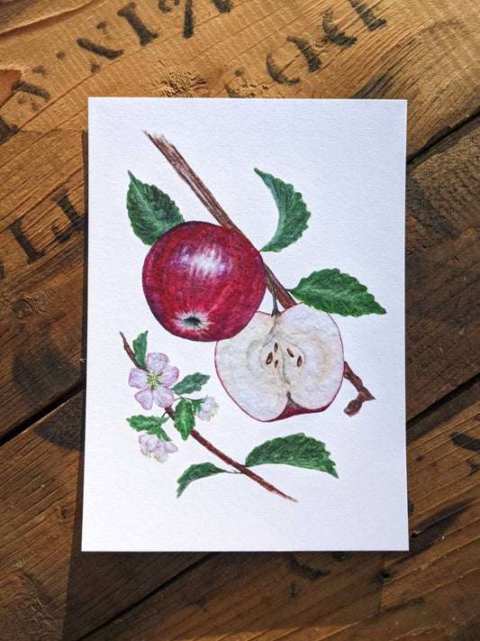 Apple Art Print