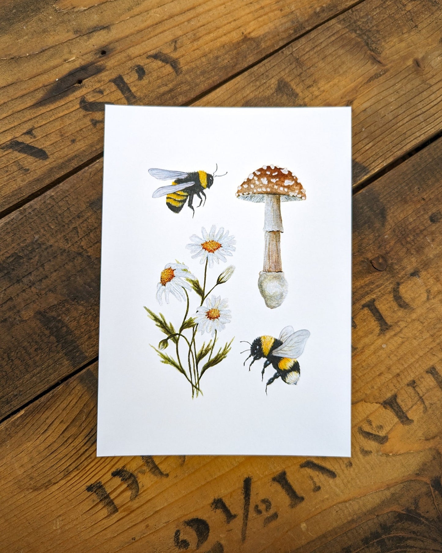 Bumblebee, Mushroom & Daisy Art Print
