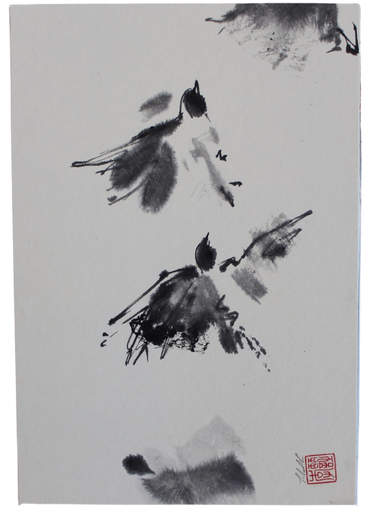 Lilith Ohan - Dessin de oiseaux