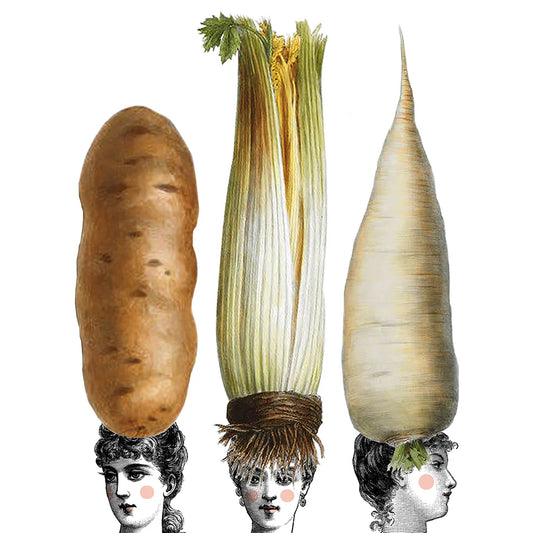 Fashion Veggies Postcard