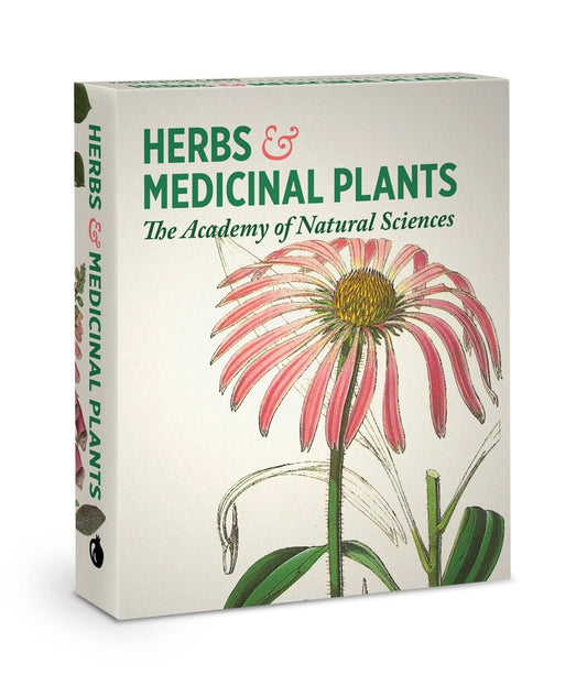 Herbs & Medicinal Plants Knowledge Cards
