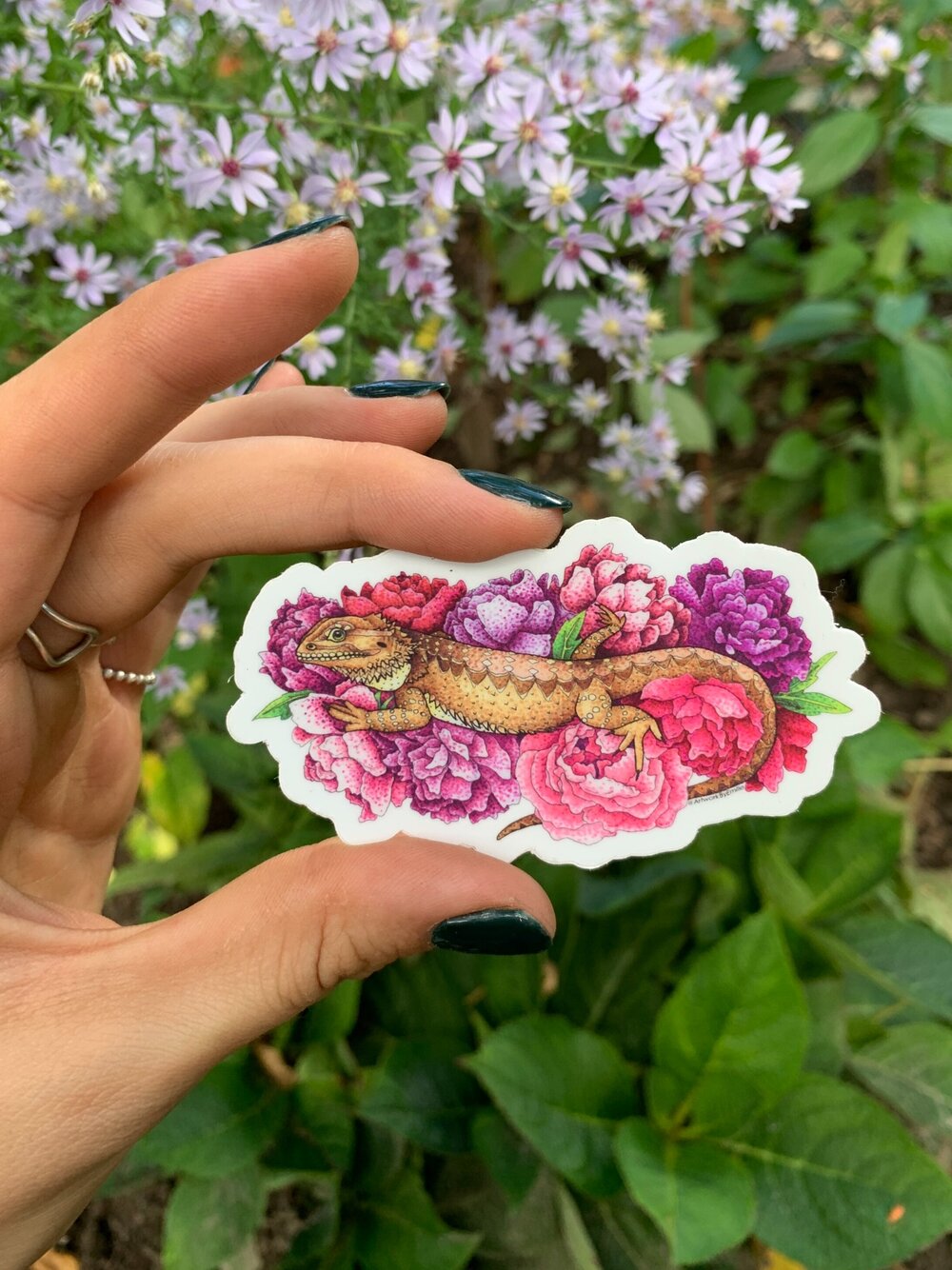 Comfy Bearded Dragon (in bed of flowers) sticker